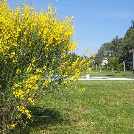 Farm stay Agriturismo San Giuseppe