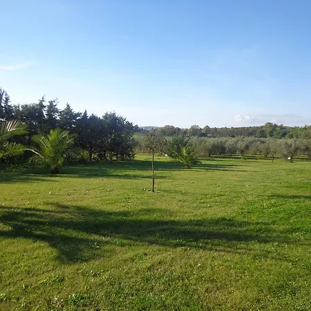 Farm stay Agriturismo San Giuseppe